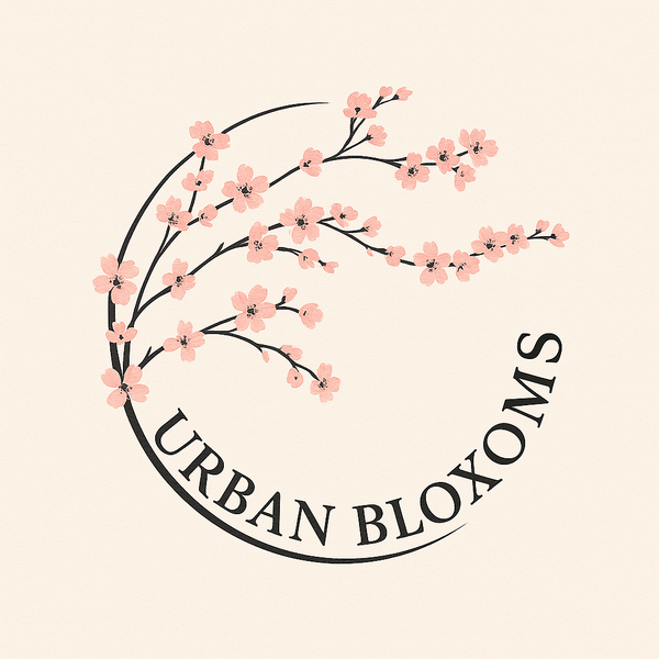 The Ultimate One-Stop Shop: Skincare, Tech, Fitness & Fashion—All in One Place